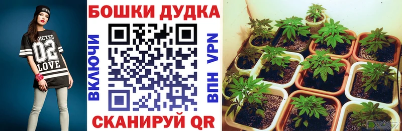 Купить наркотики цена Черняховск Альфа ПВП МЕФ Канабис