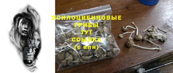 кокс Дмитров