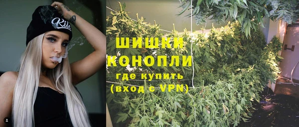 гидропоника Дмитриев