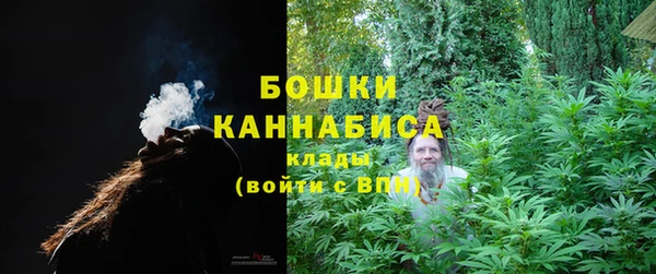 гидропоника Дмитриев
