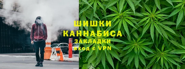 гидропоника Дмитриев